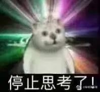 停止思考