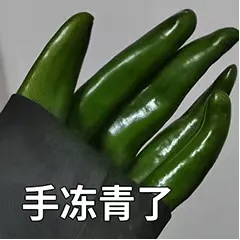 手冻青了