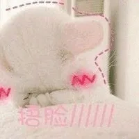 捂脸啦