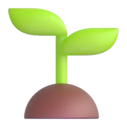 Seedling