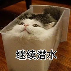 继续潜水