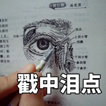 戳中泪点