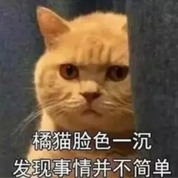 橘猫脸色一沉.发现事情并不简单