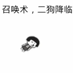 召唤术.二狗降临
