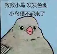 救救小鸟.发发色图.小鸟硬不起来了