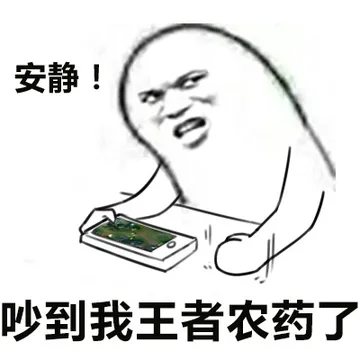 安静！吵到我王者农药了(www.doutupk.com)