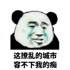 这撩乱的城市，容不下我的痴！