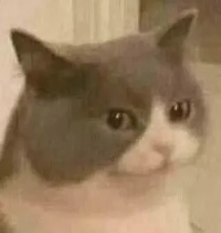 猫猫头表情包