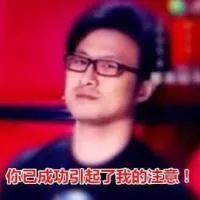 你已成功引起了我的注意！