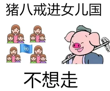 猪八戒进女儿国不想走