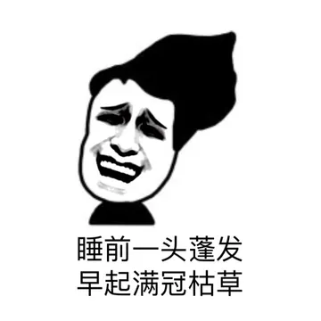 睡前一头蓬发，早起满冠枯草