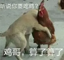 听说你要吃鸡
