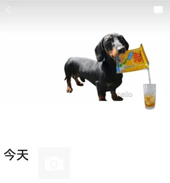 小狗倒饮料朋友圈背景图