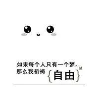 如果每个人只有一个梦，那么我祈祷自由