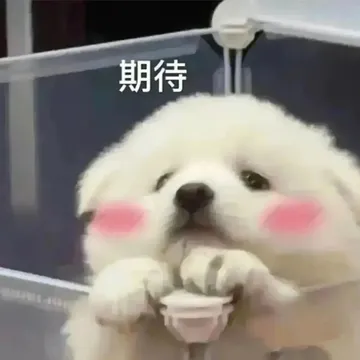 期待