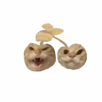 耄耋炸弹