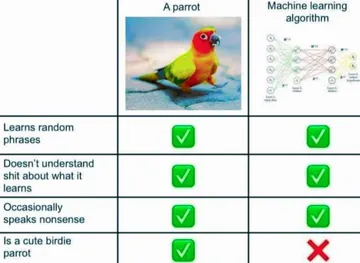 Birbs Also Use Less Water