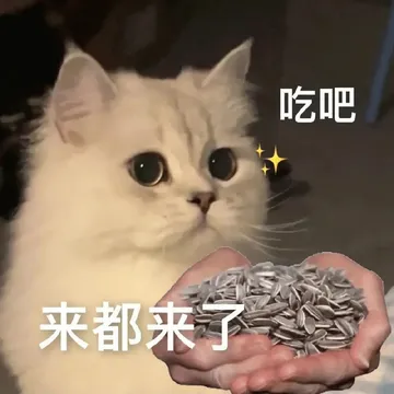 各种花式装逼系列表情包第063张