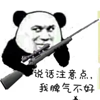 说话注意点，我脾气不好！（熊猫拿枪）