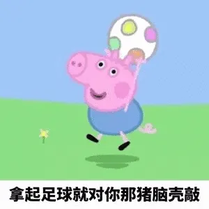 拿起足球就对你那猪脑壳敲