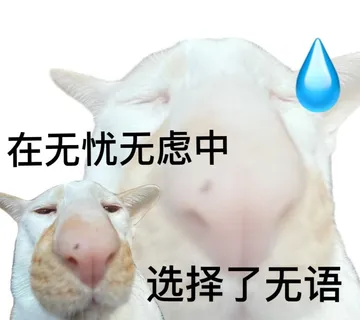 在无忧无虑中选择了无语