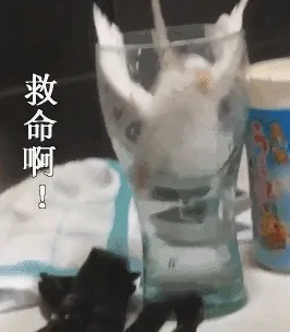 救命啊!