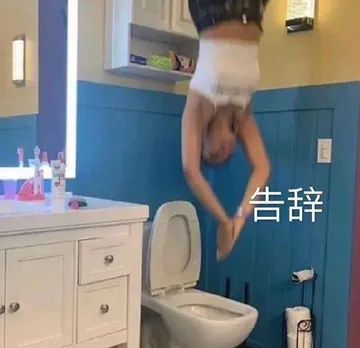 上告辞