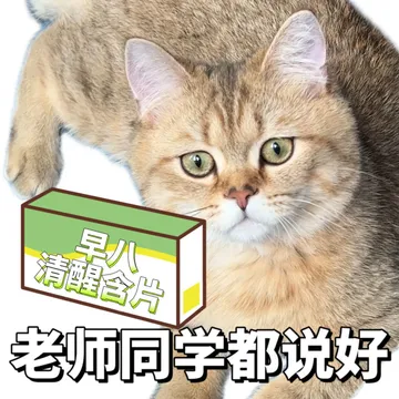 早八人必备表情包