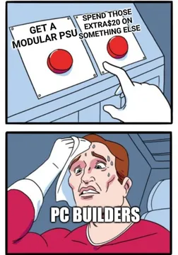 Choose One Gamers: The Modular PSU Dilemma