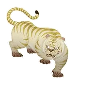 哦