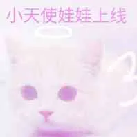 小天使娃娃上线