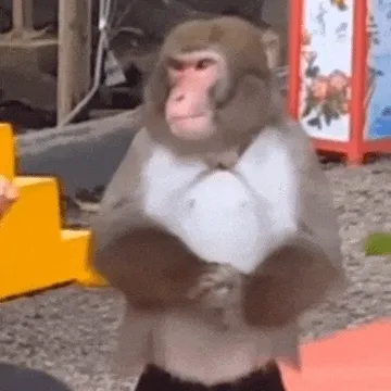 (吗喽鼓掌动图表情包)