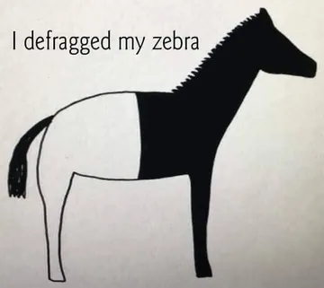 I Defragged My Zebra