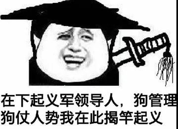 在下起义军领导人，狗管理狗仗人势我在此揭竿起义了