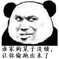 谁家狗笼子没锁，让你偷跑出来了（熊猫人教皇）