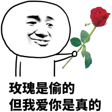 玫瑰是我偷的但我爱你是真的