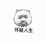 怀疑人生