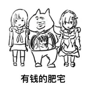 有钱的肥宅