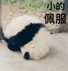 小的佩服