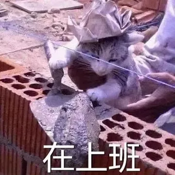 在上班（猫咪搬砖）