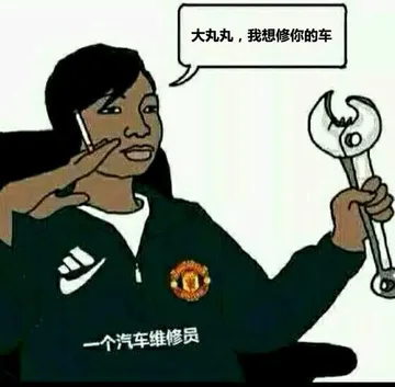 大丸丸,我想修你的车(一个汽车维修员)
