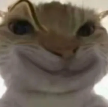 和平地铁猫猫鼠鼠表情包