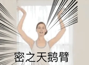 密之天鹅臂