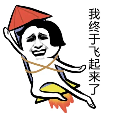 我终于飞起来了