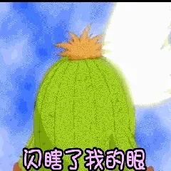 闪瞎了我的