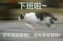 下班啦还有谁能管我!还有谁能管我!