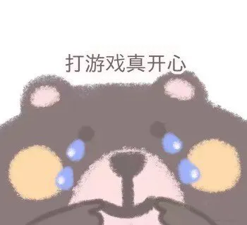 打游戏真开心