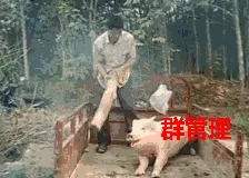 群管理（9hit）