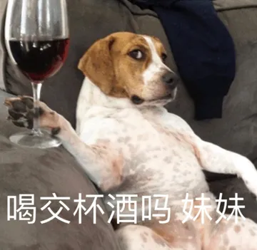 喝交杯酒吗 妹妹
