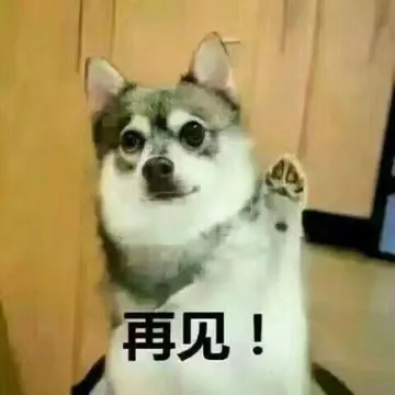 再见!
